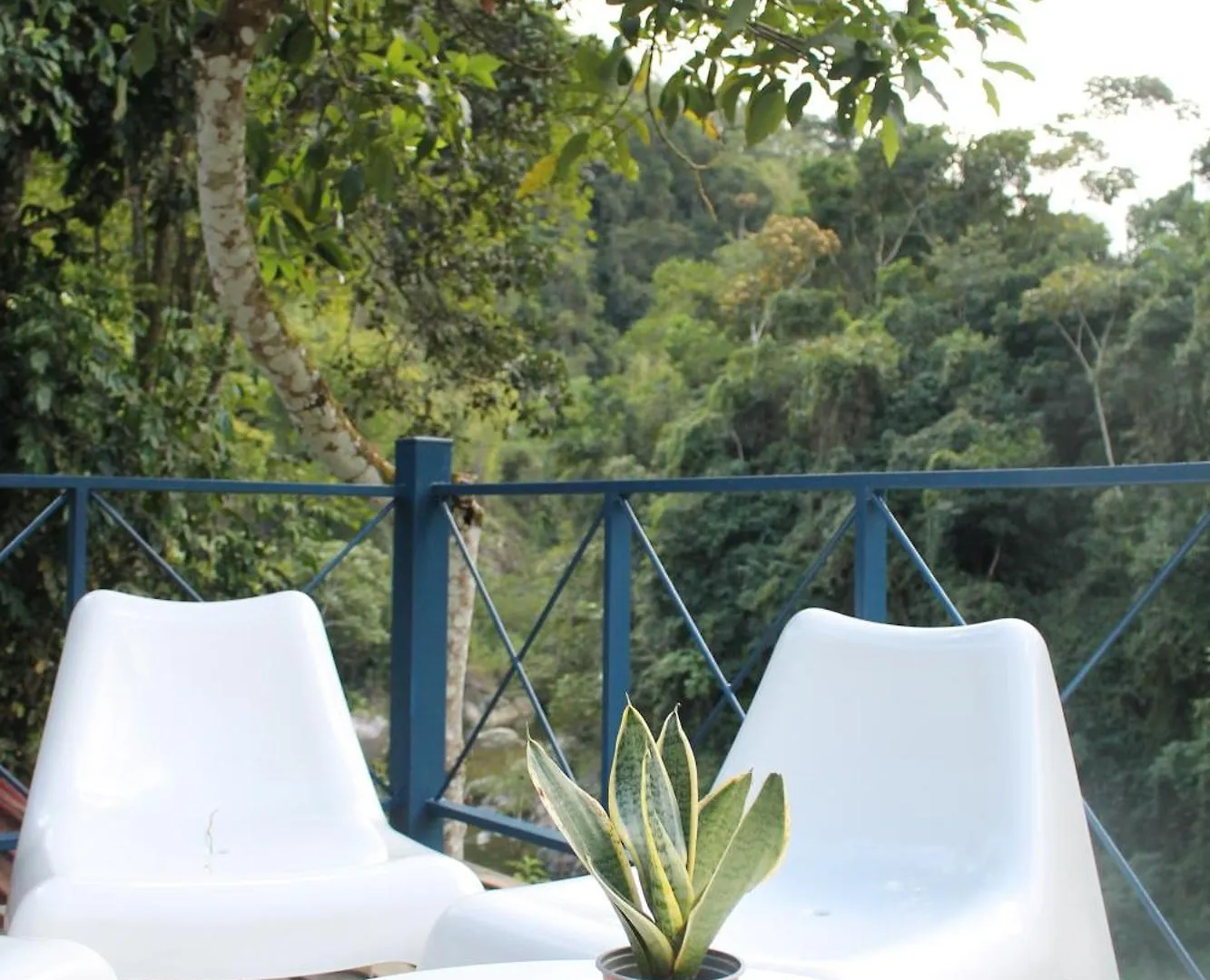 Complejo Villa Clara Junto Al Rio Y Montanas By Drvacationsrental Лос-Какаос Доминиканская Республика
