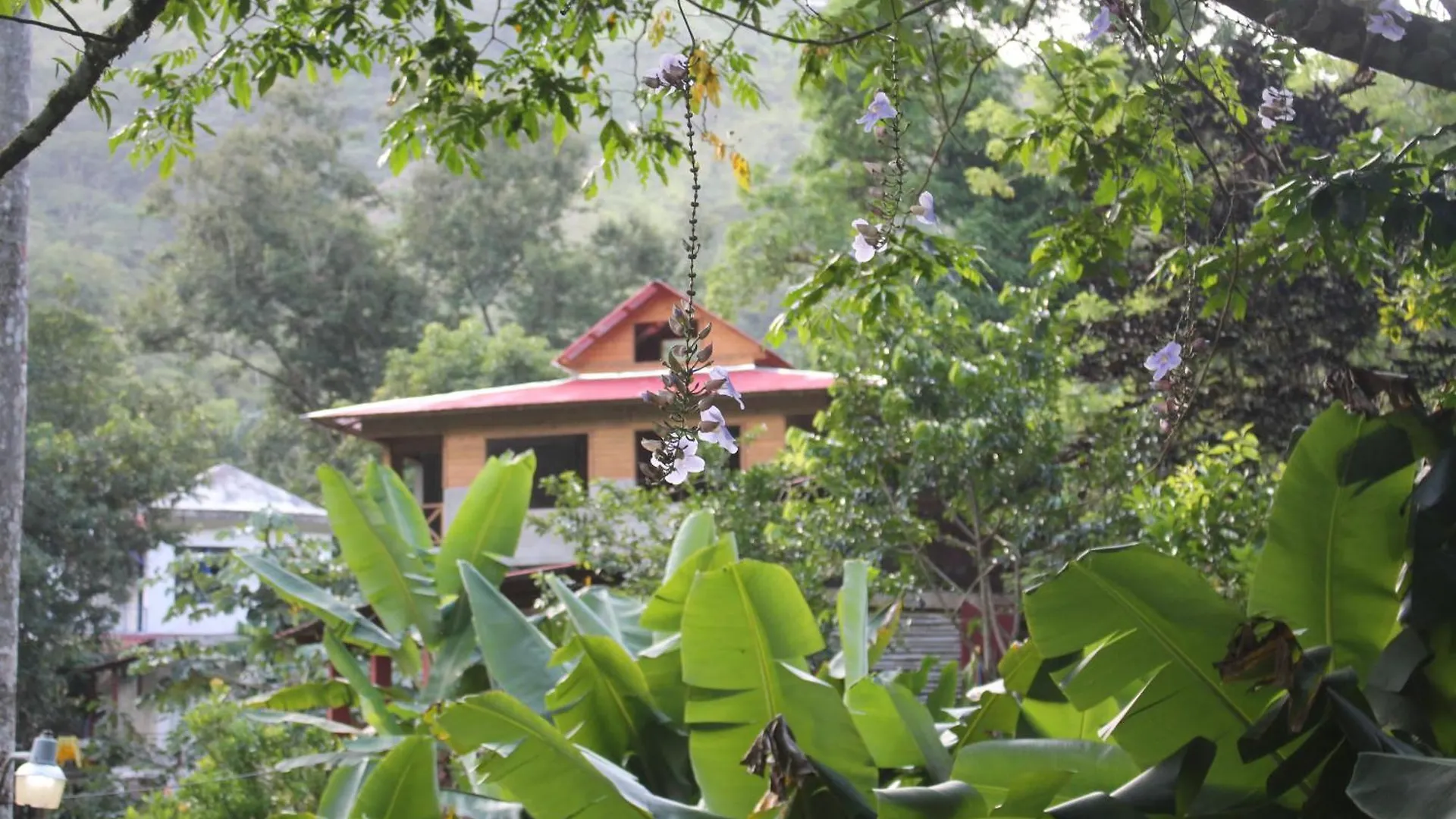 Complejo Villa Clara Junto Al Rio Y Montanas By Drvacationsrental Лос-Какаос